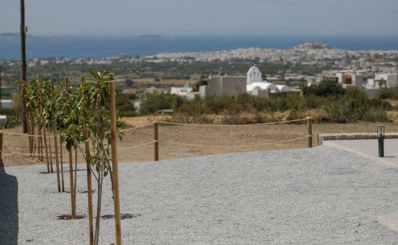 Naxos Infinity Villa And Suites Galanado المظهر الخارجي الصورة